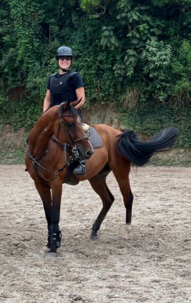 03020181-eb1e-43a1-b422-191aa917d7ec