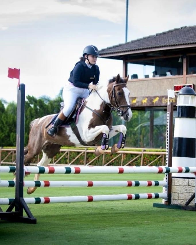 2a49cb08-8fce-4848-97b6-a7706212246c