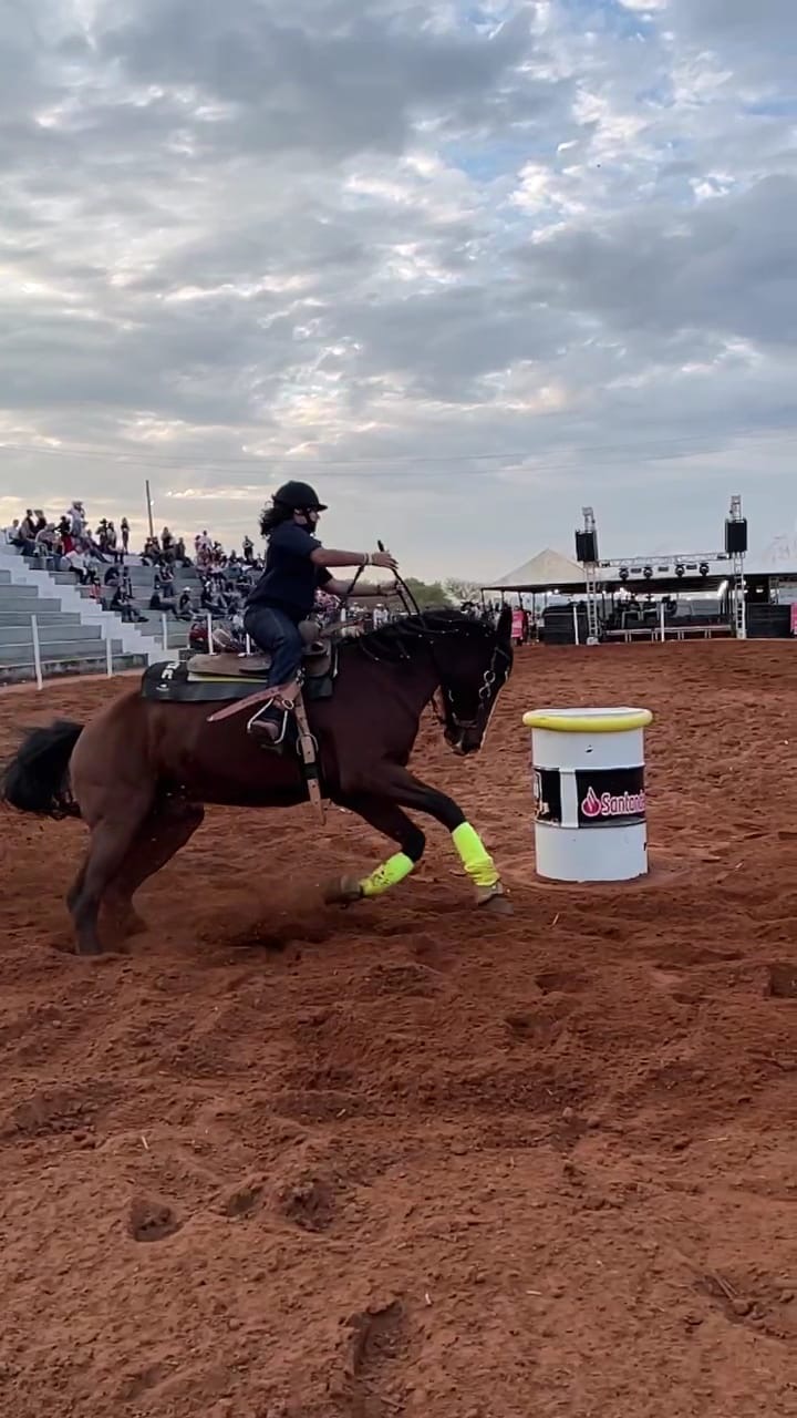 4fb5d238-c9b6-4c95-8f63-79a42a94e38f